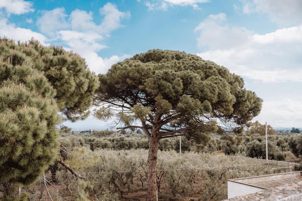 Villa Masseria Casamassima Agriturismo Ostuni Exterior foto